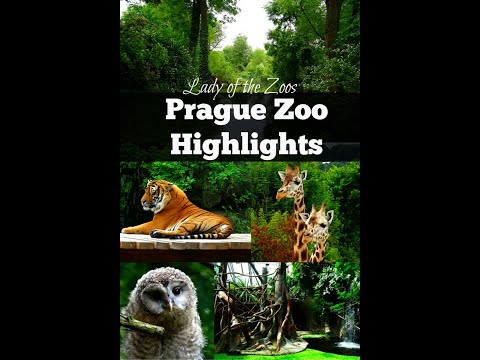 Prague Zoo a must visit tourist attraction in Czech Republic