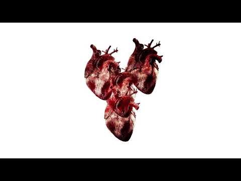 withering away (visualizer)