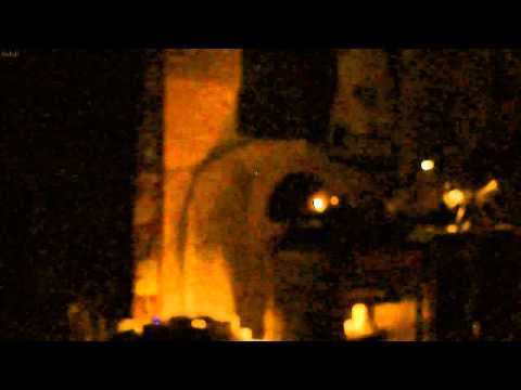 King Shiloh playing Indica Dubs - Lion Step @ NDSM, Amsterdam