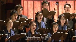 V. Grau: Regina Coeli - Collegium Vocale Seoul (콜레기움 보칼레 서울)