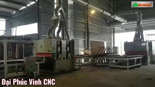 Hệ thống chà nhám thùng tự động nạp phôi, lật mặt tự động | sản xuất ván Plywood | Woodmaster