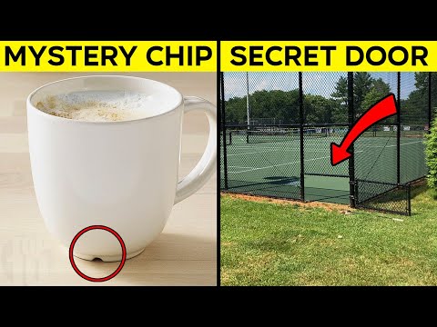 Amazing Secrets Hidden in Everyday Things