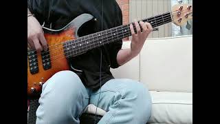 The Girls Don&#39;t Like It (The Undertones) Bass Cover G&amp;L TL2500