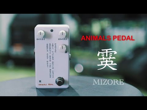 Animals Pedal SURFING POLAR BEAR BASS OVERDRIVE MOD BY BJF - Effects Pedal For Electric Bass Guitars - NEW! image 5