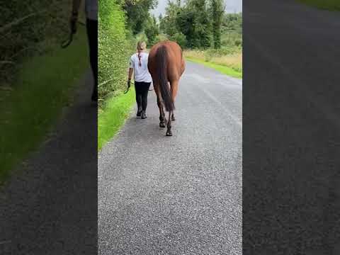 Video 1