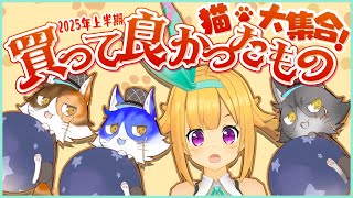 アリスと猫による、2025年上半期買って良かったものベスト３！【ベストバイ】