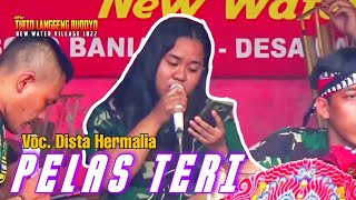 Download lagu PELAS TERI (Voc. Dista) versi Jaranan NEW TIRTO LANGGENG BUDOYO - AR PRO mp3
