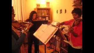 Baby, It's Cold Outside, Violin Trio cover