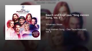 Bauch und Kopf (aus "Sing meinen Song, Vol. 5")