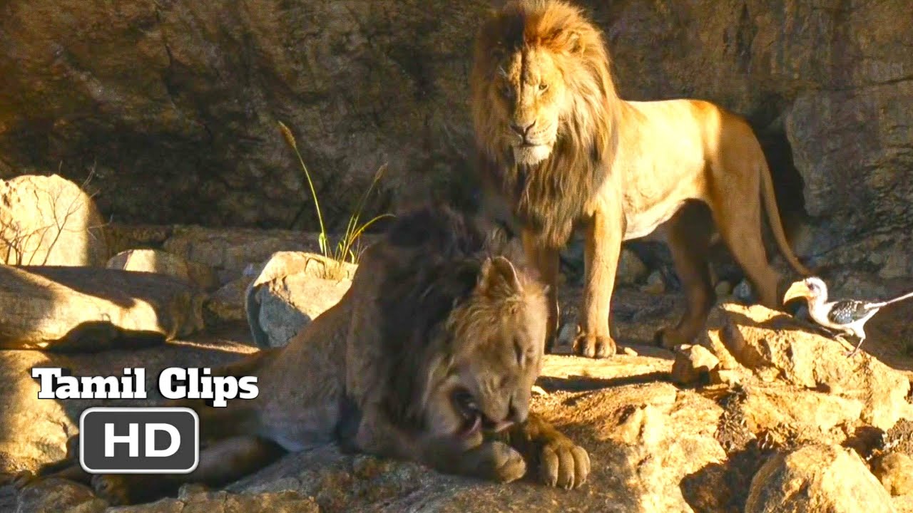 Download The Lion King 19 Scar And Mufasa Taking Scene Tamil 1 19 Movieclips Tamil Mp4 3gp Hd Naijagreenmovies Fzmovies Netnaija