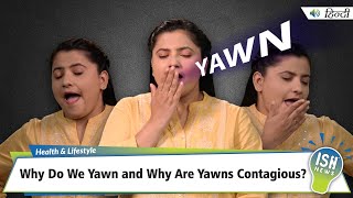 Why Do We Yawn and Why Are Yawns Contagious?