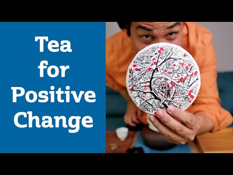 TRANSFORMATION THROUGH STILLNESS & FLOW - A Raw PuErh with Deeper Intentions