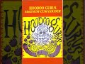 HOODOO GURUS,   I Don't Know Anything