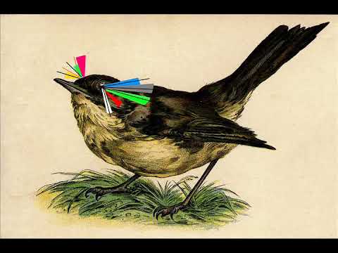 Privighetoarea Oarbă