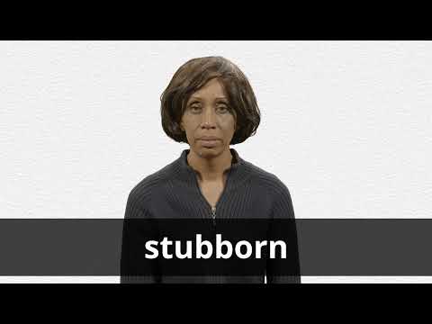 The true definition of stubborn Poster for Sale by amarieg