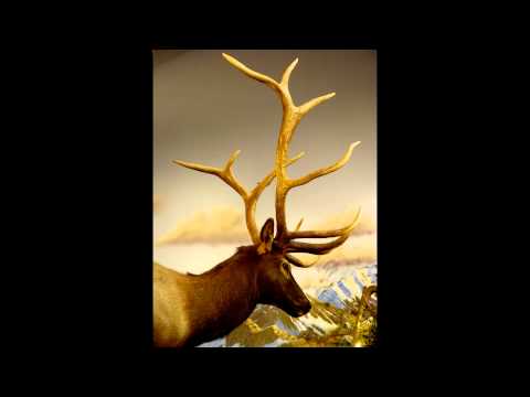 Cabela Animals with Claude Thornhill and Gil Evans