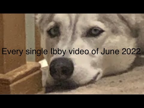 Every Ibby video of June 2022.