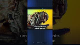 Por que a mosca escapa do tapa? | Parte 2 #Shorts