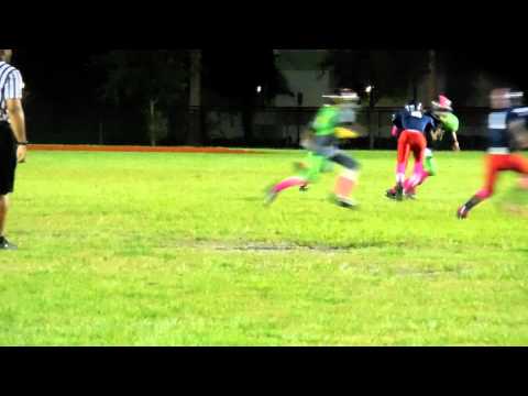 FUTURE YOUTH BULLS - OPALOCKA HURRICANES 12U