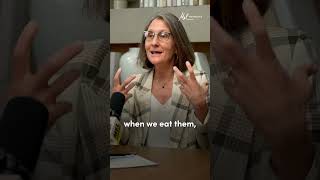 7 Daily Habits That Help Reset Your Brain’s Dopamine | Mel Robbins #Shorts