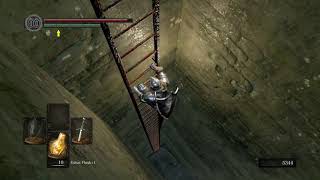 DARK SOULS™: REMASTERED_ where to use basement key from undead burg