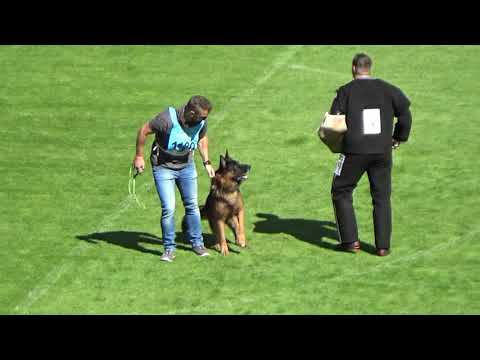 2021 SV BSZS TSB 1180 EZ Uzzo von Arlett