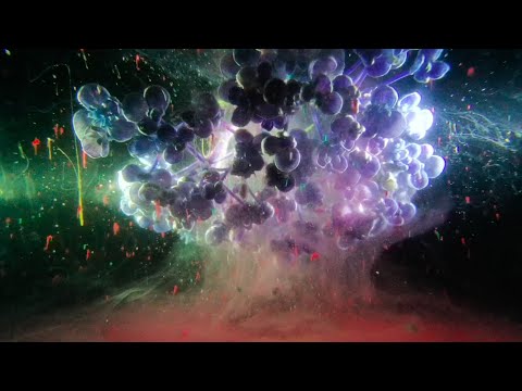 #13 Slow Motion Compilation - Universe in the Aquarium【Black Room】