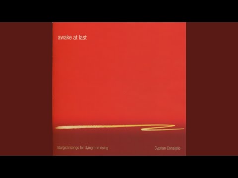 The Greatest Among You