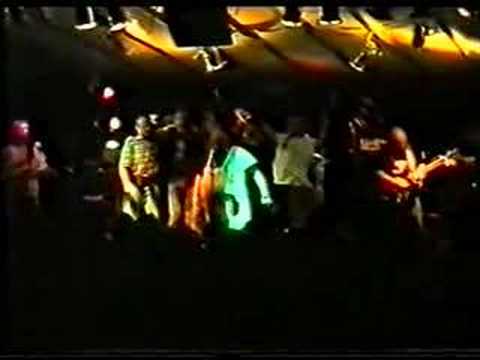 Zeltinger Band - Tuntensong (1997)