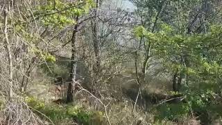 incendi-in-irpinia-piromani-ancora-in-azione