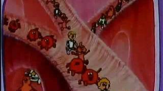 Educational Cartoons - 3 نخاع العظم Bone marrow - Arabic