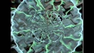 Polvo - A Link in The Chain 2009 In Prism LP version