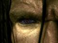 WWE Elimination Chamber Is Coming February 21 2010