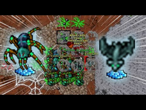 Tibia Exotic Hunt (Exotic Bat/Exotic Cave Spider) Rp 200+ Profit