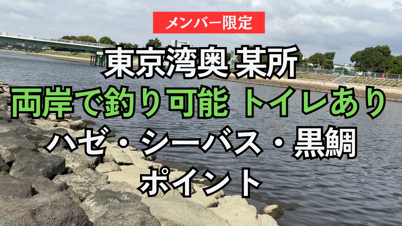 【メンバー限定】東京湾奥某所。電車徒歩圏内、トイレもあるハゼ・シーバス・黒鯛ポイント