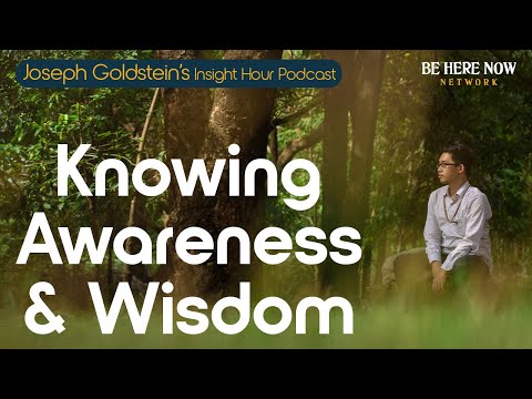 Joseph Goldstein on Knowing, Awareness And Wisdom – Insight Hour Podcast Ep. 191