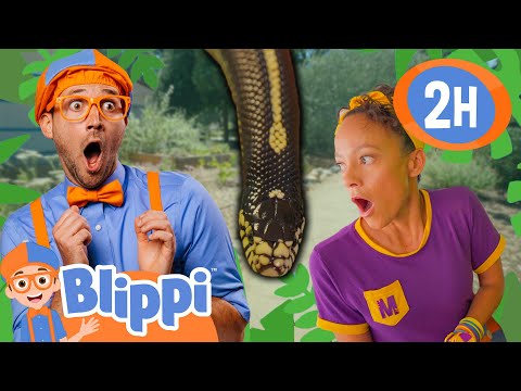 Blippi and Meekah's Wild Reptile and Animal Tour 🐍 Animals For Kids | Educational Videos for Kids