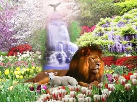 Lindo País - Samuel Lóia