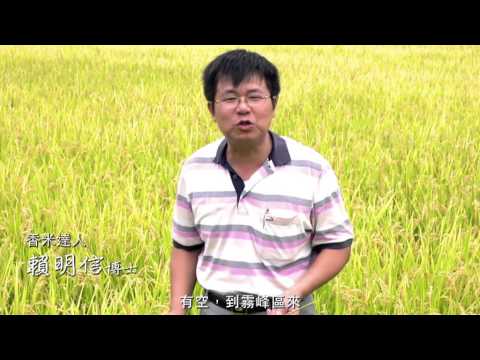 你那裡天氣好嗎? - 人文薈萃物豐霧峰