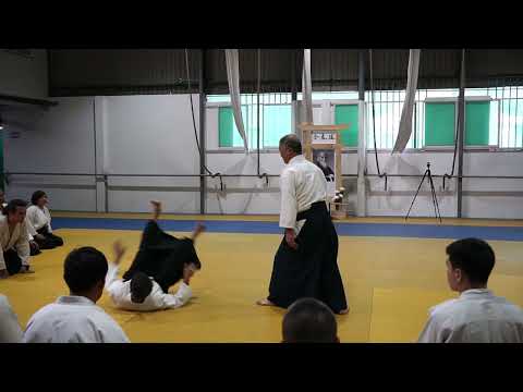 2023 HAF Aikido Seminar - Shihan Etsuji Horii - Gyaku Hanmi Katate Dori Kokyu ho