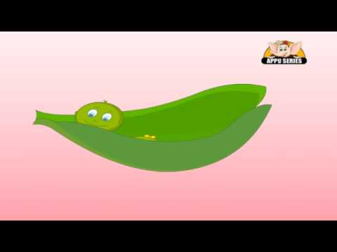 Nursery Rhyme - Five Little Peas