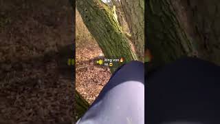 Download lagu Live life💪 #dj #house #housemusic #revvi mp3