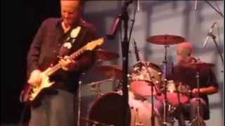 Albert Cummings - Working Man Blues.flv