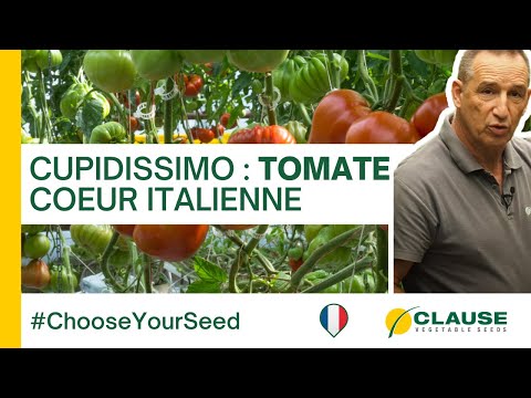 Video: CUPIDISSIMO F1