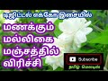 Manakkum Malligai Manjathil Virichi Tamil Song In Digital Music Use