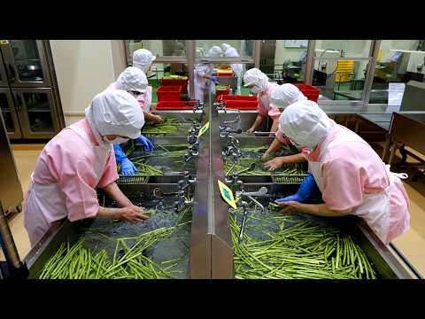 7,000 School Lunches a Day! The Cleanest Food Center in Japan