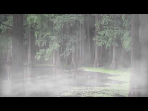 hurt to the bone - Daniel Gunnarsson [R150]