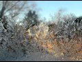 Kitaro, A drop of silence: Winter Wonderland