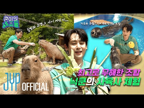 이 조합 찬성일세 🙌🏻 세상 무해한 주키퍼 닉쿤의 사육사 체험기 🦭🐾  | 〈쿤이의 세포들〉 EP.16 (EN/JP/TH/CN)