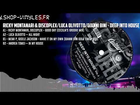 Ricky Montanari & Discoplex/Luca Olivotto/Gianni Bini - Deep Into House Vol.3 [BLACK] (GCVDEEP007)